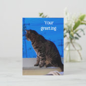 Bruin Tabby Cat Aangepaste Wenskaarten (Staand voorkant)