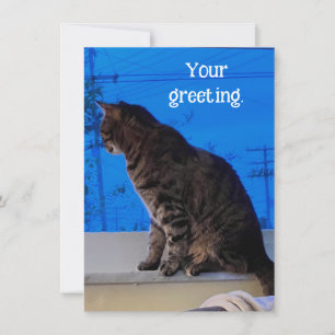  Bruin Tabby Cat Aangepaste Wenskaarten