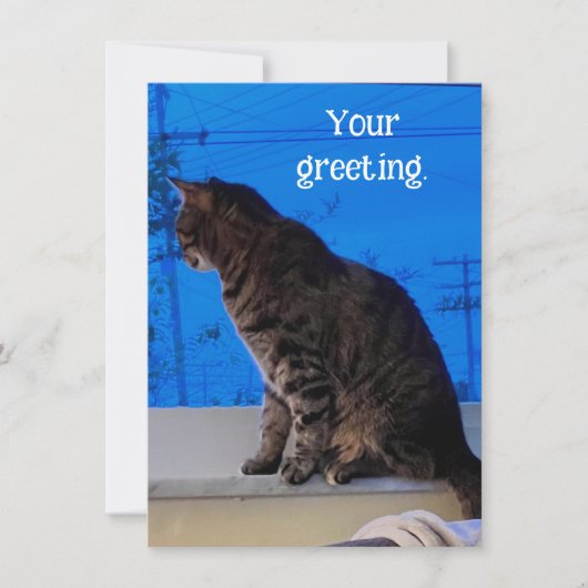 Bruin Tabby Cat Aangepaste Wenskaarten (Voorkant)