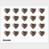 Bruin Tabby Hart Stickers (Vel)