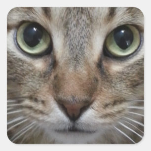 Bruin tablet vierkante sticker