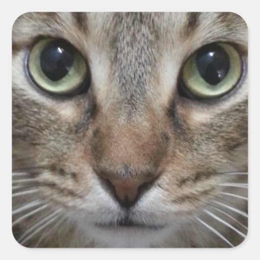Bruin tablet vierkante sticker (Voorkant)