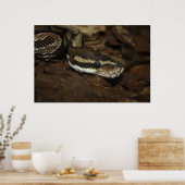 Bruin tapijt Python Poster (Keuken)