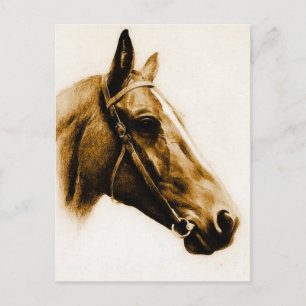 Bruin Tones Paardenportret Briefkaart