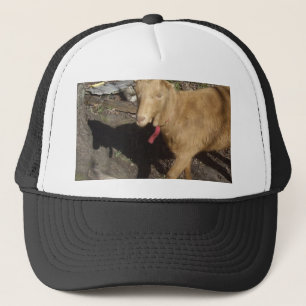 Bruin Trucker Pet