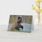 Bruin van Alaska draagt in Kenai NWR Kaart (Gele Bloem)