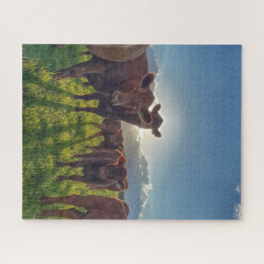 Bruin vee in de wei legpuzzel (Horizontaal)