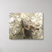 Bruin Veld Cricket Canvas Print (Voorkant)