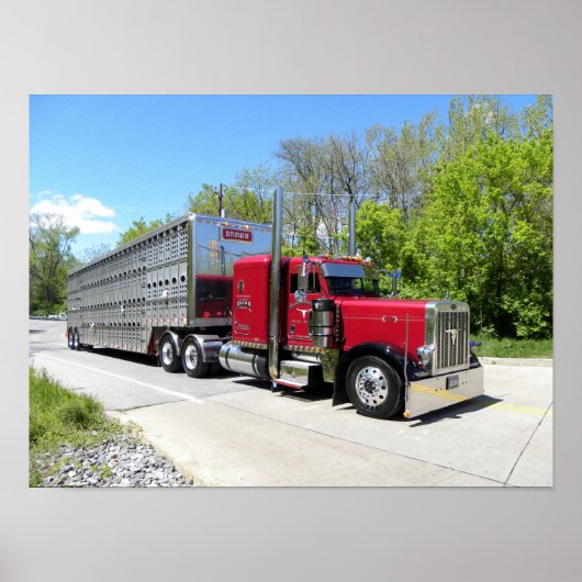 Bruin vervoer 379 Poster (Voorkant)