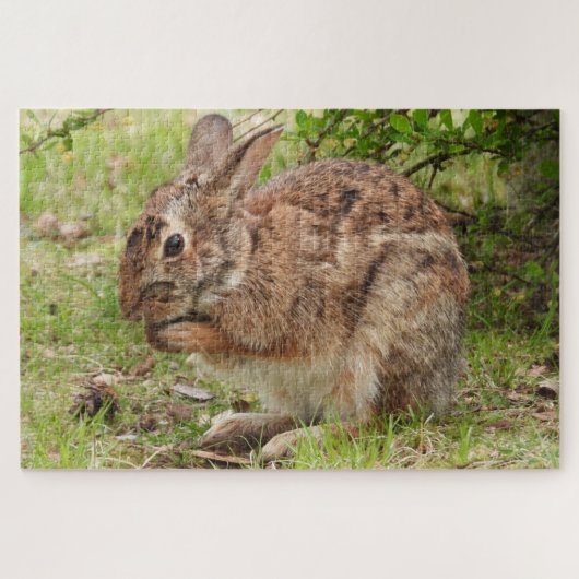 Bruin, wild Bunny Rabbit bidden Legpuzzel (Horizontaal)