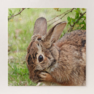 Bruin, wild Bunny Rabbit OH MY Legpuzzel