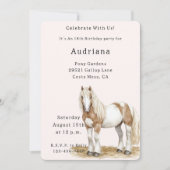 Bruin wit paard verjaardag kaart (Voorkant)