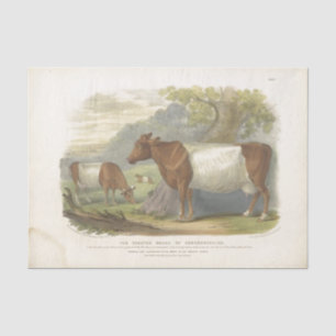 Bruin Witte Koe Ephemera Decoupage Boerderij Tissuepapier