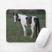 Bruin-witte paarden muismat (Met muis)