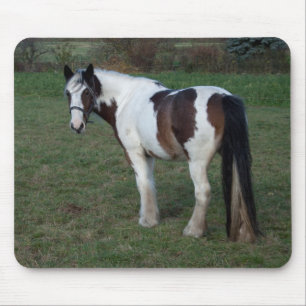 Bruin-witte paarden muismat