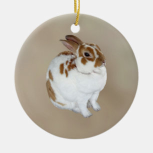 Bruin-witte rexkonijn keramisch ornament