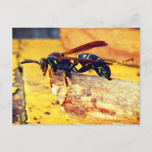 Bruin zwart geel Noordelijk Papier Wasp Grooming Briefkaart