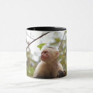 Bruine aap - witte capuchin mok