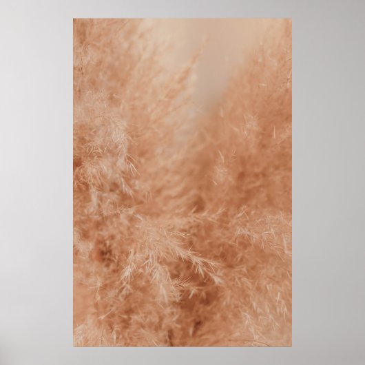 Bruine achtergrond poster (Voorkant)