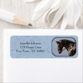 Bruine Baai Oldenburg Paardenportret Etiket (Insitu)