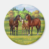 Bruine bazardpaarden in zomerperiode magneet (Voorkant)