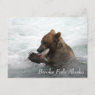 Bruine beer eet zalm in Brooks Falls Alaska Briefkaart