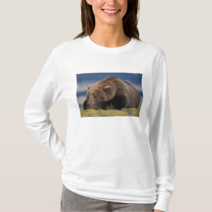Bruine beer, grizzlybeer, een dutje doend, Katmai T-shirt