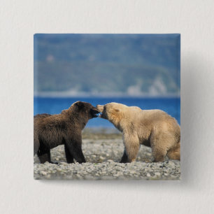 Bruine beer, grizzlybeer, spelen op het strand, vierkante button 5,1 cm