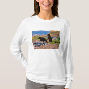 Bruine beer, Ursus arctos, Alaska schiereiland, T-shirt