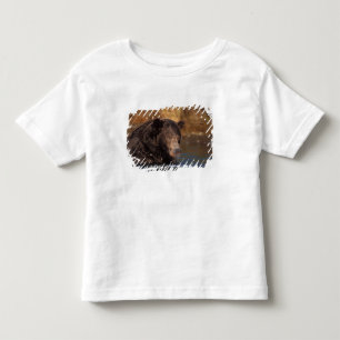 bruine beer, Ursus arctos, grizzlybeer, Ursus 5 Kinder Shirts