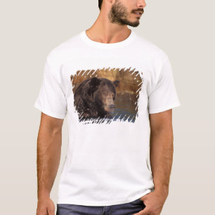 bruine beer, Ursus arctos, grizzlybeer, Ursus 5 T-shirt