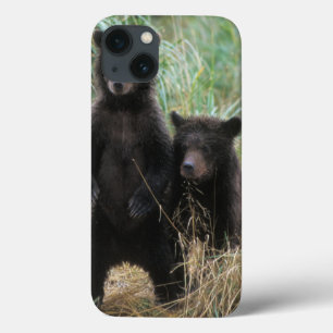 bruine beer, Ursus arctos, grizzlybeer, Ursus 7 2 iPhone 13 Hoesje