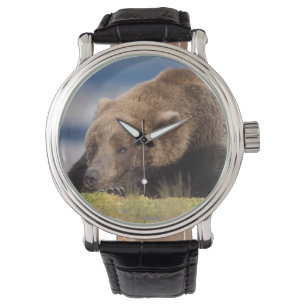 bruine beer, Ursus arctos, grizzlybeer, Ursus 8 Horloge