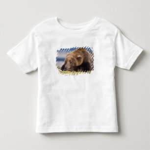 bruine beer, Ursus arctos, grizzlybeer, Ursus 8 Kinder Shirts