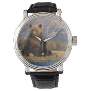 bruine beer, Ursus arctos, grizzlybeer, Ursus Horloge