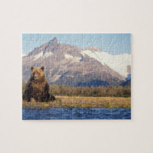 bruine beer, Ursus arctos, grizzlybeer, Ursus Legpuzzel