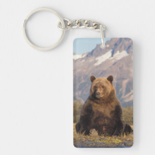 bruine beer, Ursus arctos, grizzlybeer, Ursus Sleutelhanger