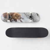 Bruine beer vangt rode zalm skateboard (Horizontaal)