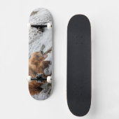 Bruine beer vangt rode zalm skateboard (Voorkant)