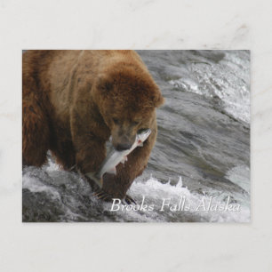 Bruine beer ving een zalm in Brooks Falls Alaska Briefkaart