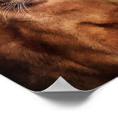 Bruine Birmese Kat Poster (Hoek)