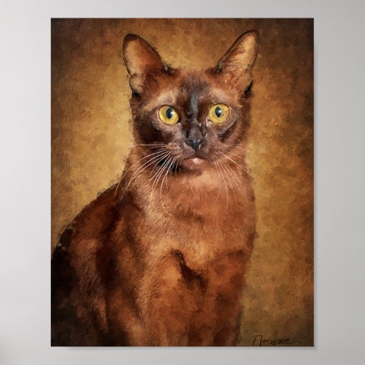Bruine Birmese Kat Poster (Voorkant)