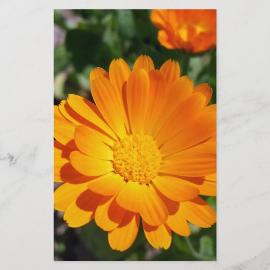 bruine bloem briefpapier (Voorkant)