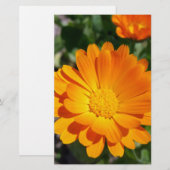 bruine bloem briefpapier (Voorkant / Achterkant)