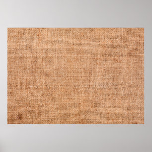 Bruine bolap op wit blad. Abstracte back-up Poster
