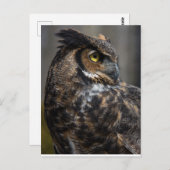 Bruine boomkorren briefkaart (Voorkant / Achterkant)