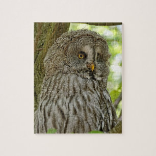bruine boomkorren legpuzzel
