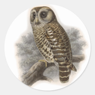 Bruine boomkorren ronde sticker