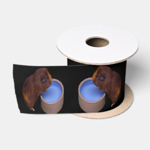Bruine cavia staand drinkend, lint