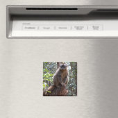 Bruine citroen magneet (Insitu (Vaatwasser))